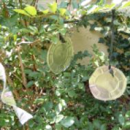 The pie pans in the blueberry bush