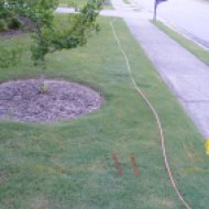 A gas line flagged in my yard