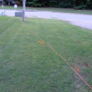 The cable lying in the yard